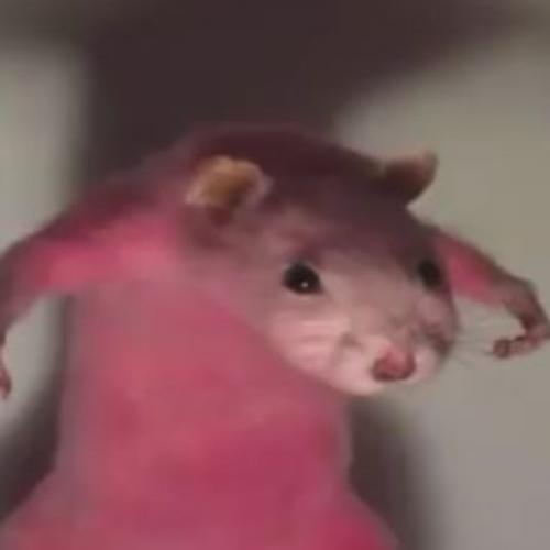 สมาชิกหมายเลข 7124104