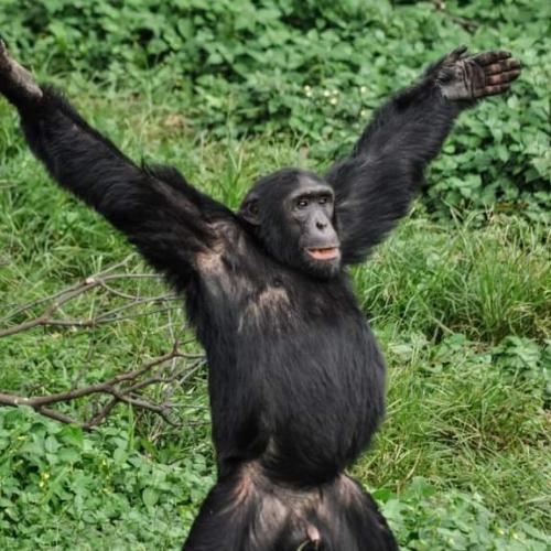 สมาชิกหมายเลข 7127024