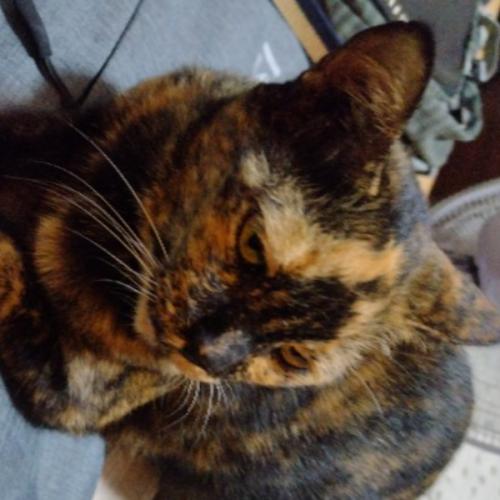 สมาชิกหมายเลข 7483750