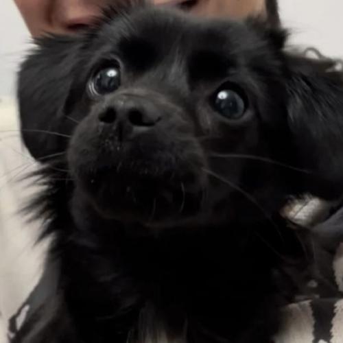 สมาชิกหมายเลข 7802922