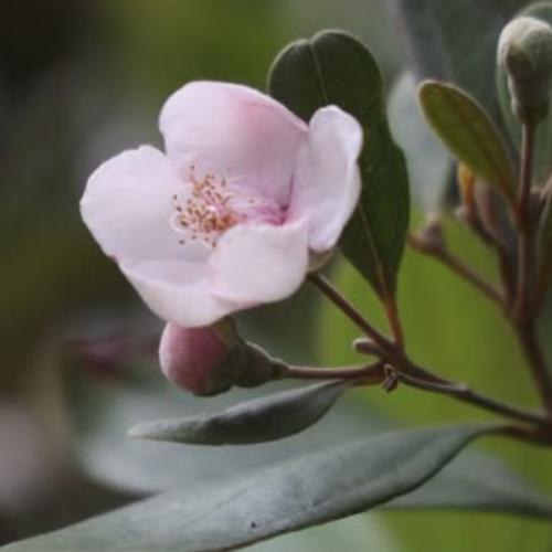 สมาชิกหมายเลข 5320047