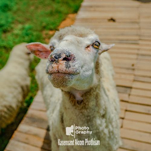 สมาชิกหมายเลข 8649571