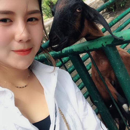 สมาชิกหมายเลข 4603146