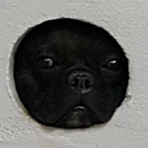 สมาชิกหมายเลข 4953382