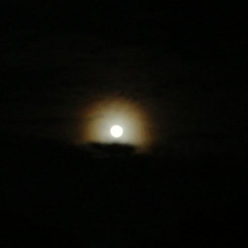 สมาชิกหมายเลข 5786930