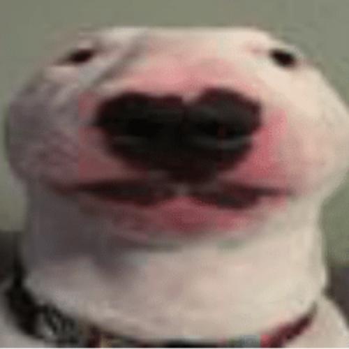 สมาชิกหมายเลข 5829771