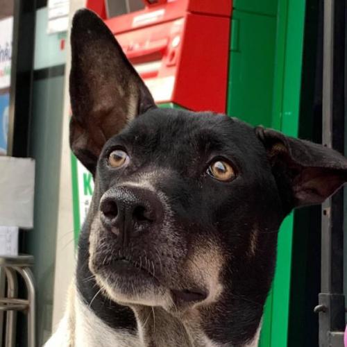 สมาชิกหมายเลข 1148693