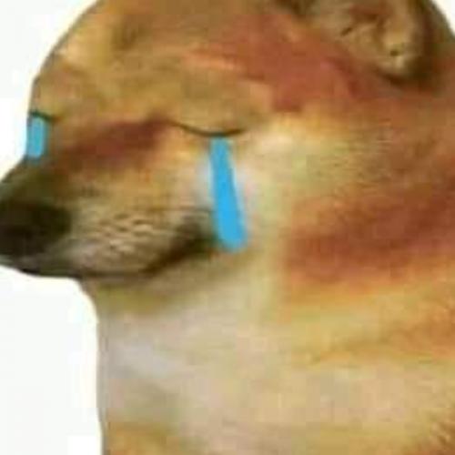 สมาชิกหมายเลข 7127996