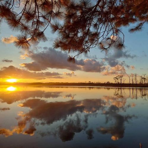 สมาชิกหมายเลข 1388205