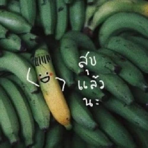 สมาชิกหมายเลข 5309855