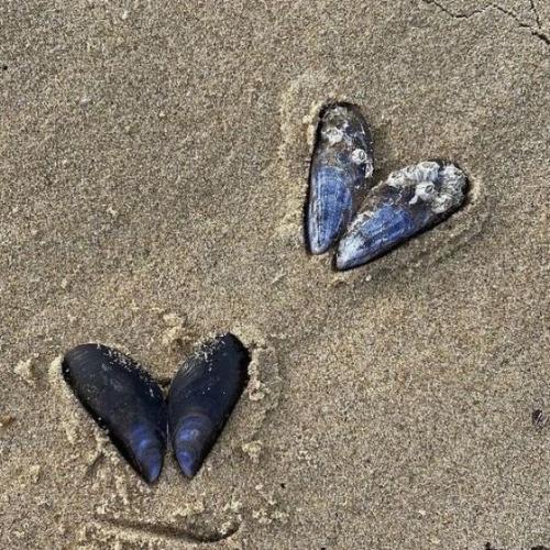 สมาชิกหมายเลข 8932930