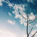 สมาชิกหมายเลข 3487616