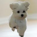 สมาชิกหมายเลข 3741691