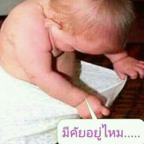 สมาชิกหมายเลข 4603311