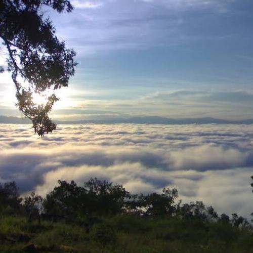 สมาชิกหมายเลข 4482557