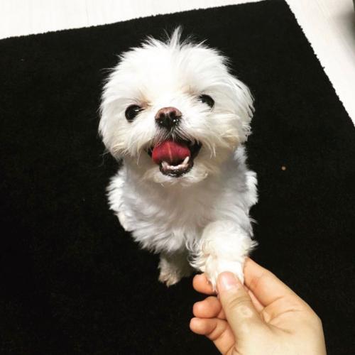 สมาชิกหมายเลข 4953836