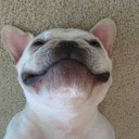 สมาชิกหมายเลข 5351333