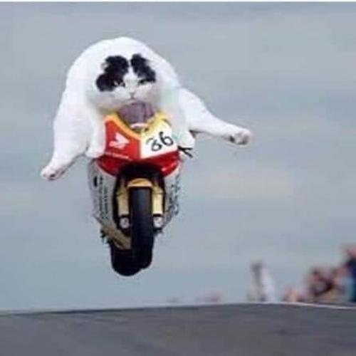 สมาชิกหมายเลข 4047379