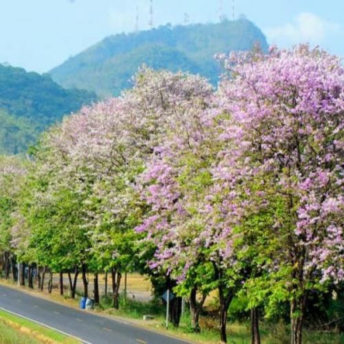 สมาชิกหมายเลข 5811268