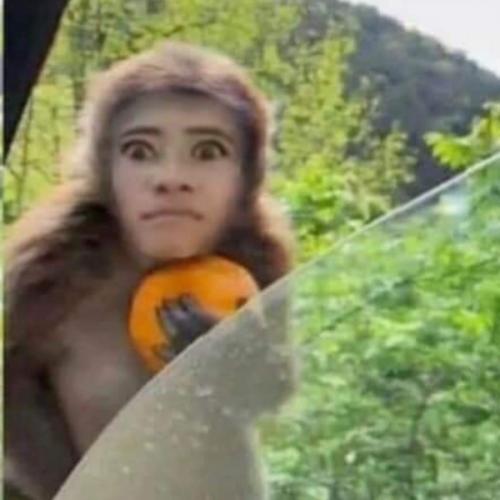 สมาชิกหมายเลข 1308426