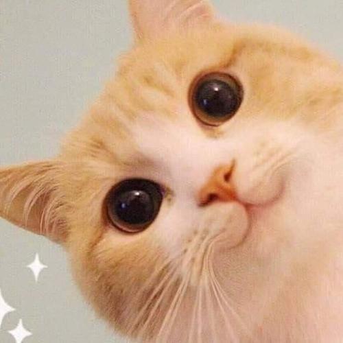 สมาชิกหมายเลข 2227939