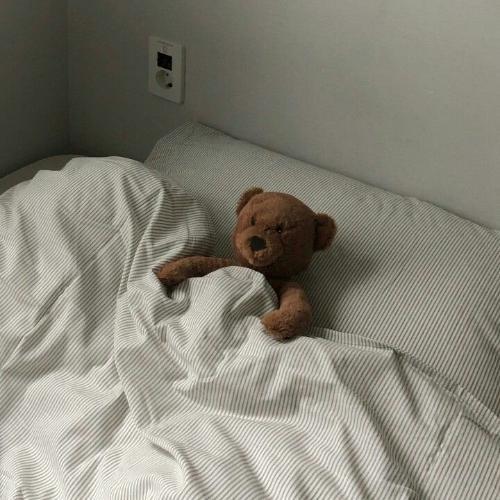 สมาชิกหมายเลข 5237164