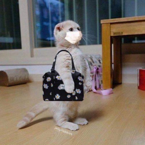 สมาชิกหมายเลข 6434339