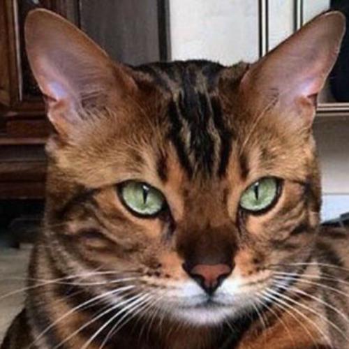 สมาชิกหมายเลข 7128066