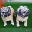 สมาชิกหมายเลข 3915819