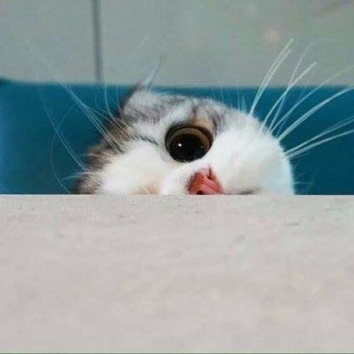 สมาชิกหมายเลข 1667986