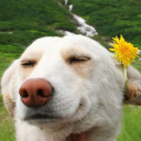 สมาชิกหมายเลข 4355484