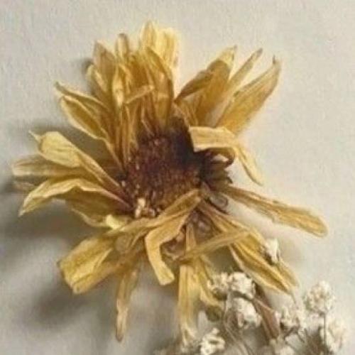 สมาชิกหมายเลข 7770179