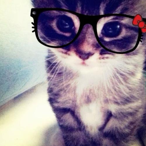 สมาชิกหมายเลข 7917081