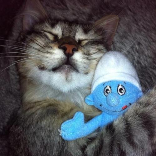 สมาชิกหมายเลข 7917816