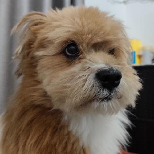 สมาชิกหมายเลข 8682341