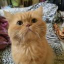 สมาชิกหมายเลข 1996621