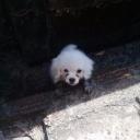 สมาชิกหมายเลข 4205546