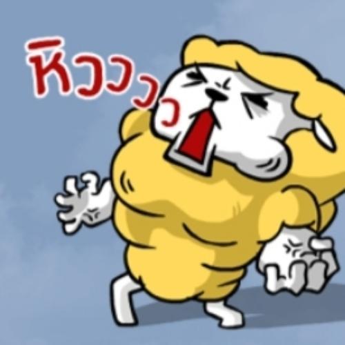 แมวของเจ้าอยู่กับเราแล้ว