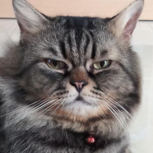 สมาชิกหมายเลข 4954411