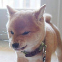 สมาชิกหมายเลข 4954733