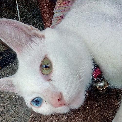 สมาชิกหมายเลข 5352370