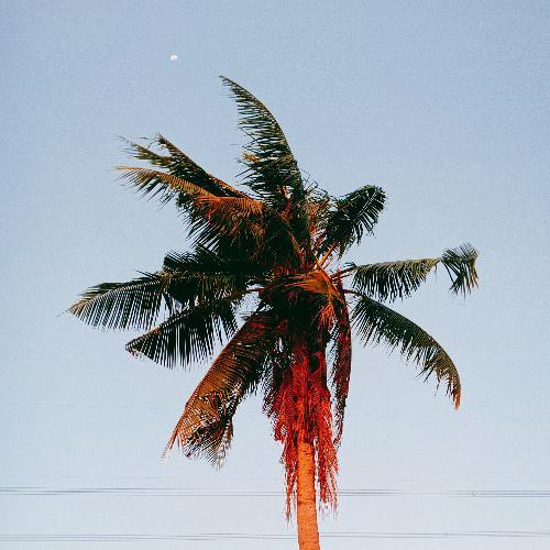 สมาชิกหมายเลข 5282166