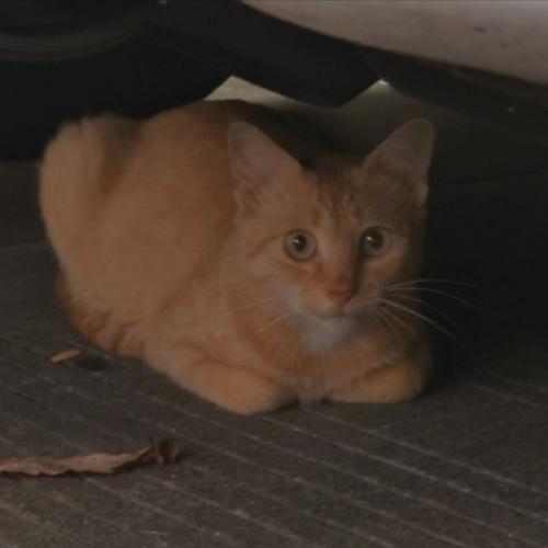 สมาชิกหมายเลข 5861703