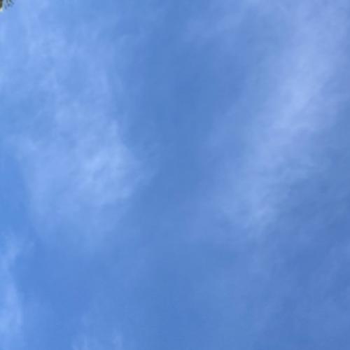 สมาชิกหมายเลข 6323280