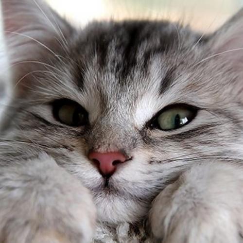 สมาชิกหมายเลข 7902592