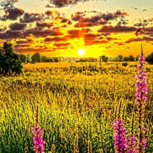 สมาชิกหมายเลข 5120572