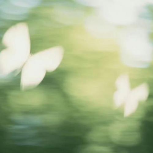 สมาชิกหมายเลข 8937014