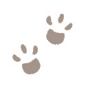 สมาชิกหมายเลข 3742903