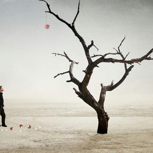 สมาชิกหมายเลข 4361371