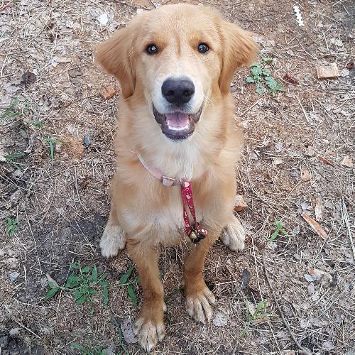 สมาชิกหมายเลข 2199155